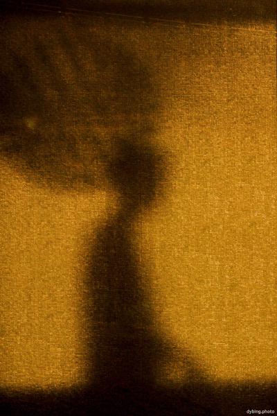 Shadow