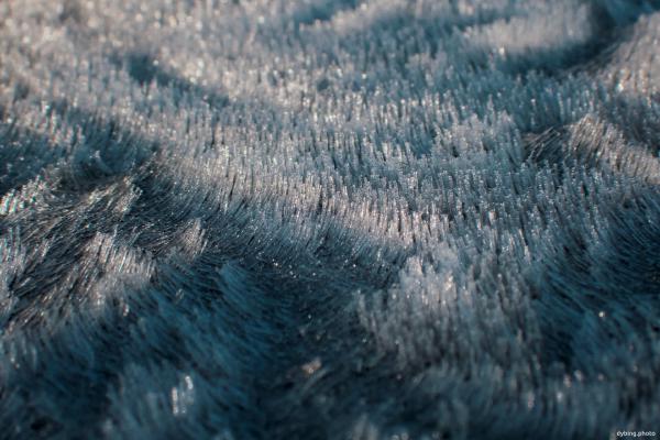 Frosty