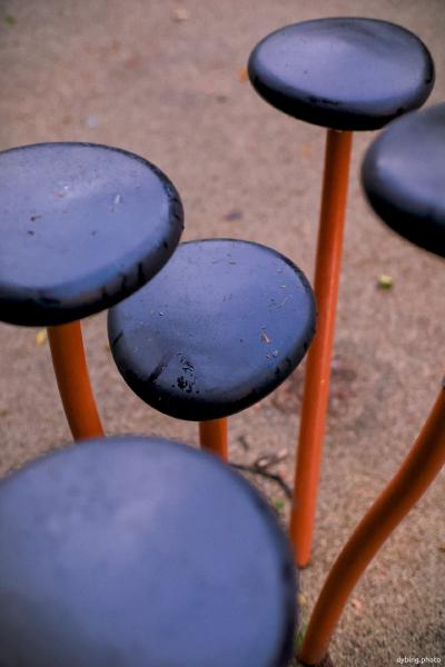 Playground seating - Bergen