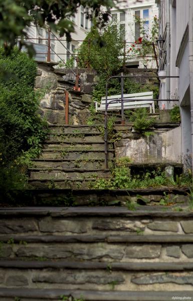 Summer stairs - Bergen