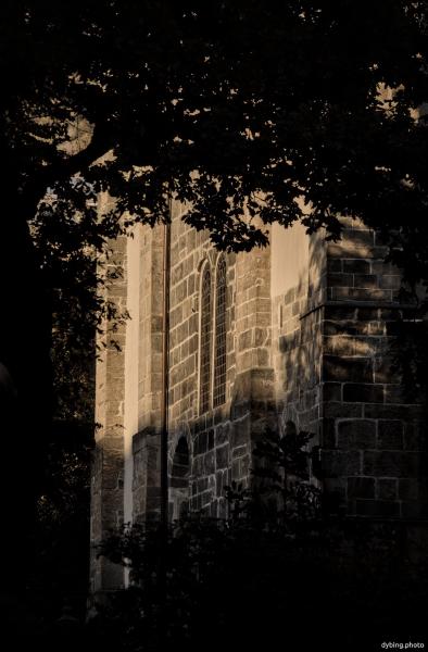 Mariakirken in winter afternoon light - Bergen