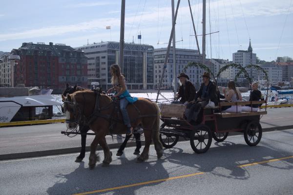 Horse and Carriage