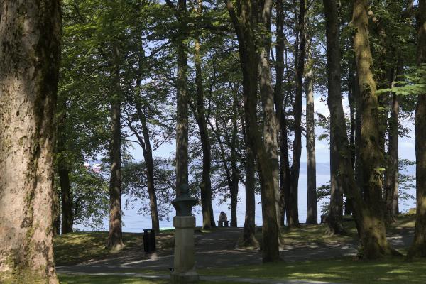 Trees and woman at the park