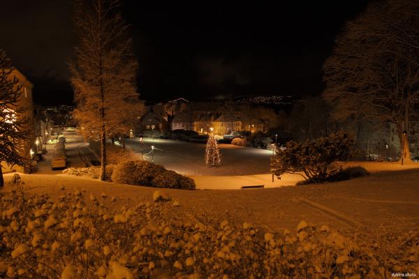 Snowy night at local park