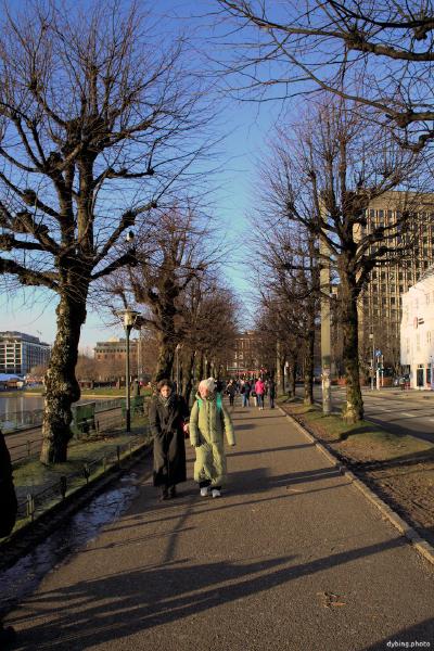 Winter footpath