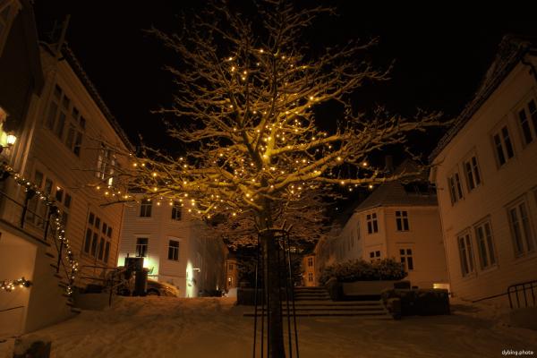 Snowy tree with decorations