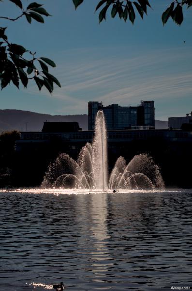 Central Park Fountain