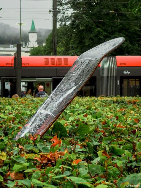 Skater not happy about Summer being over