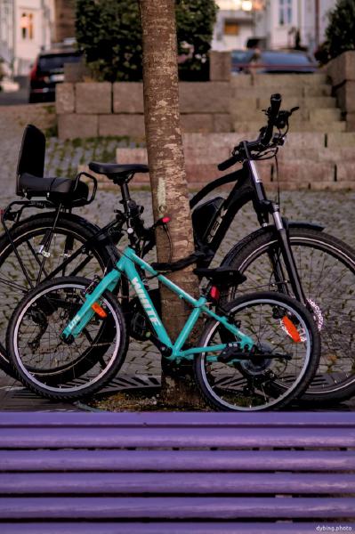 Big bike, small bike