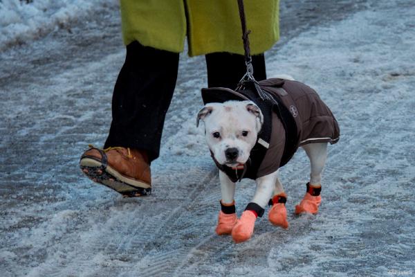 Bergen, January 2026