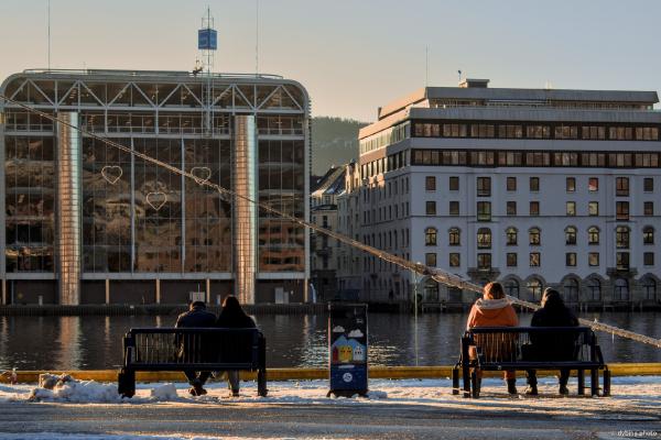 Benches by Harbour