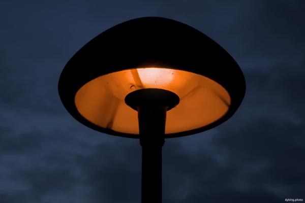 Park light
