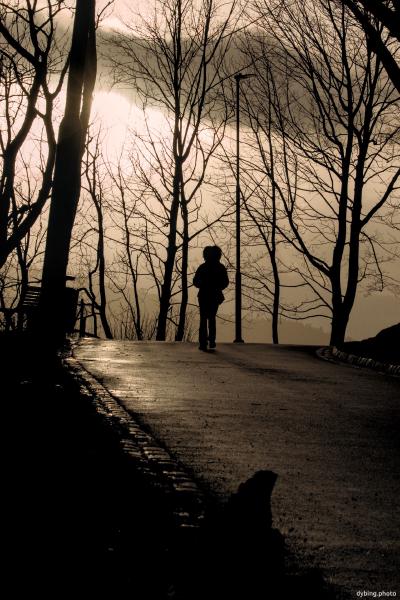 Soon sunset silhouette by Nordnes Park