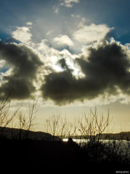 Yellow and blue skies