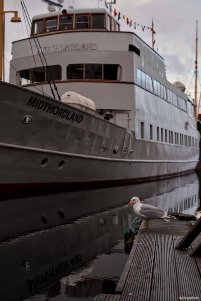 Inner harbour