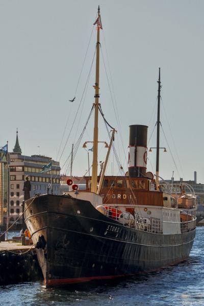 Moored steamboat