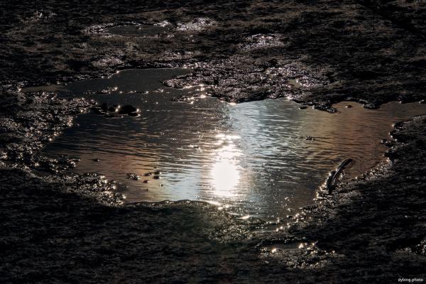 Puddle