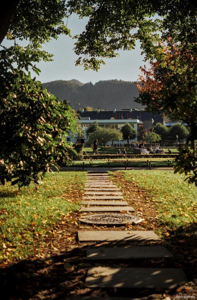 Central Park