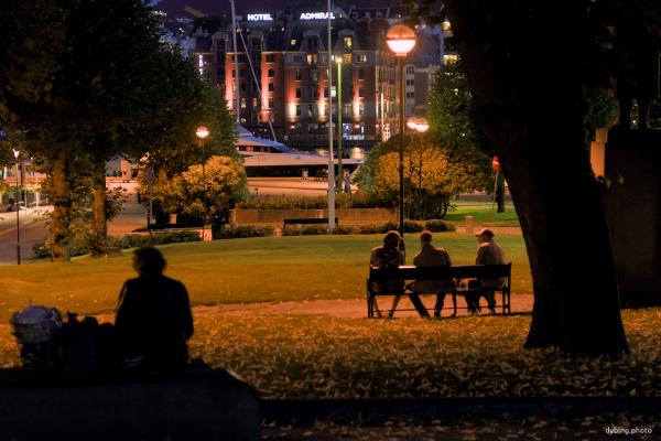 People in park at night - August