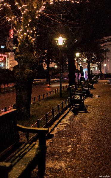 Central Park by night - December