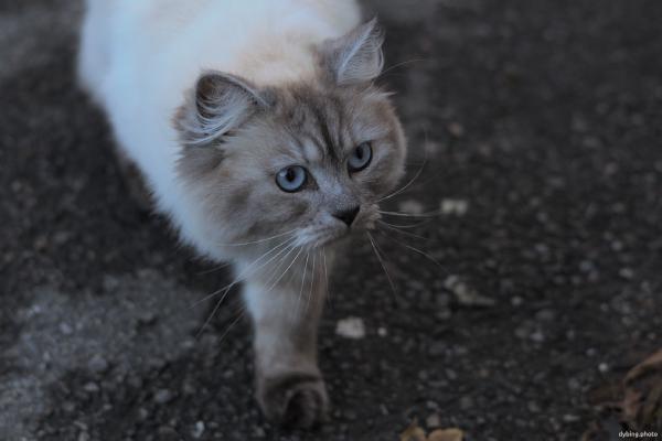 Isn't that the cutest little face ever? - December