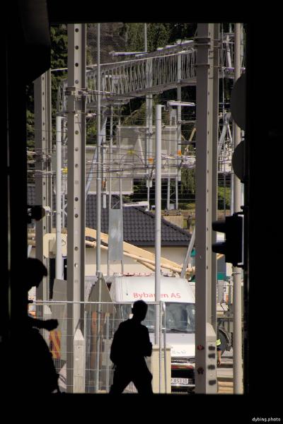 Vertical lines - June