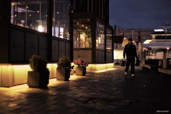 Fishmarket by night - June