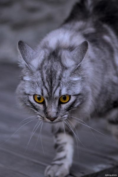 Almost black and white - July