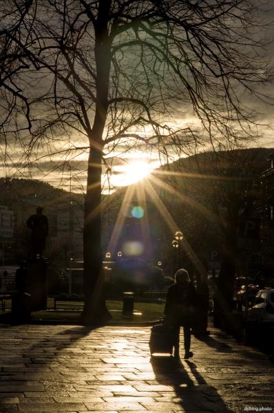 Mid-day Sun - December