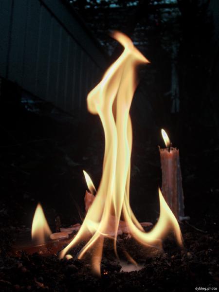 Afternoon flames - December